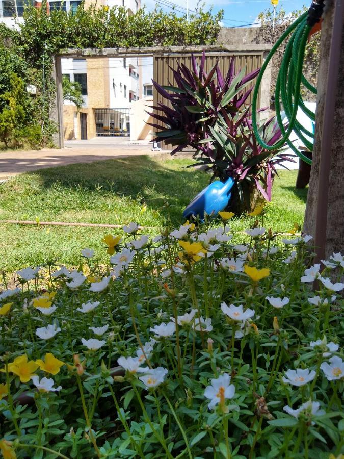 Hostel Consciente Aracaju Esterno foto